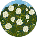 Khushi Kumari profile picture